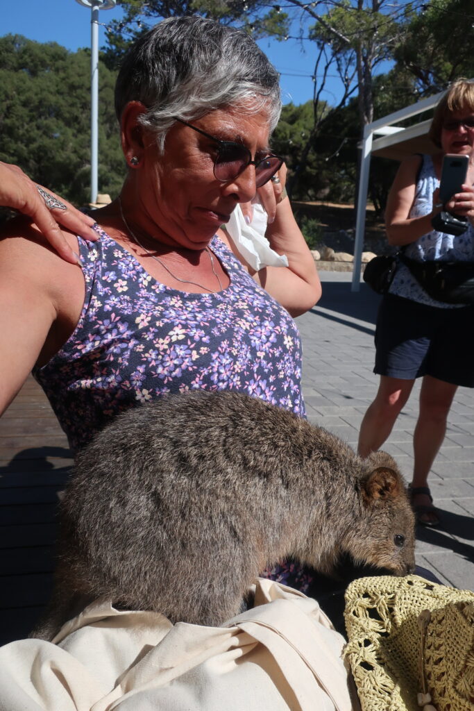 Quakka on Lynda's Lap